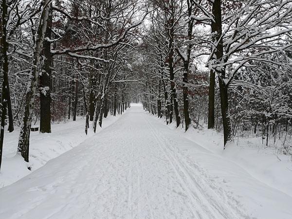 Wandern im Erzgebirge