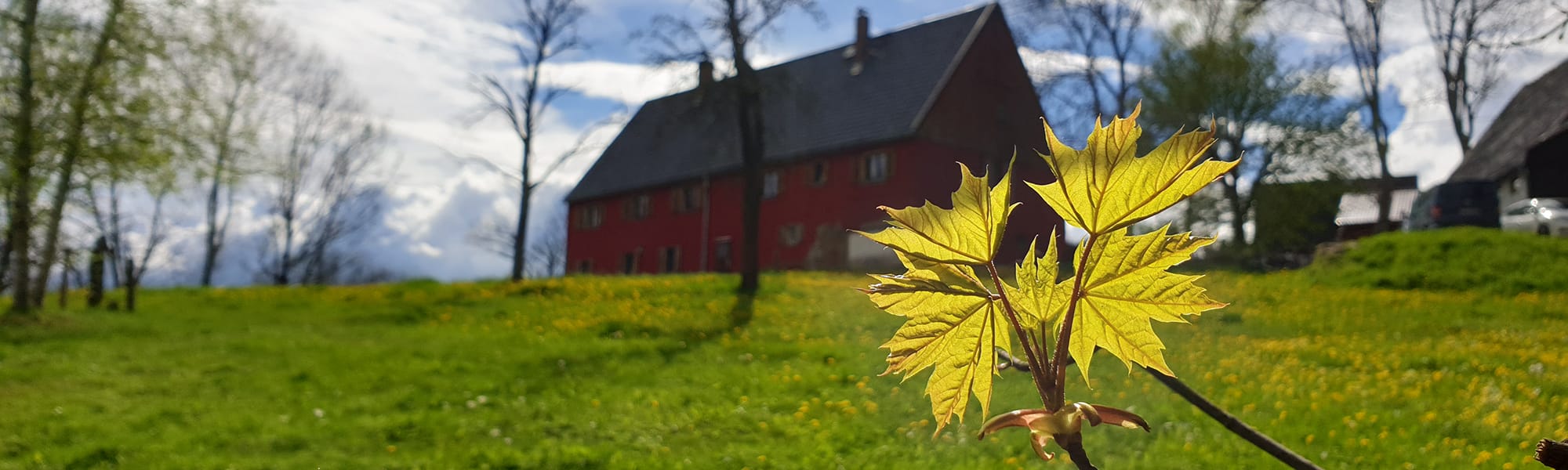 Ferienhaus im Erzgebirge